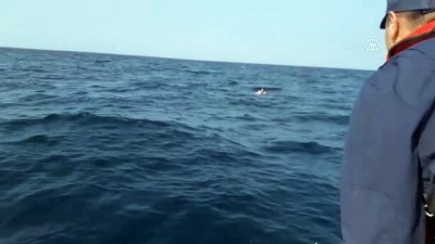 sili - Dikili'de düzensiz göçmenleri taşıyan tekne battı: 4 ölü (2) - İZMİR Videosu