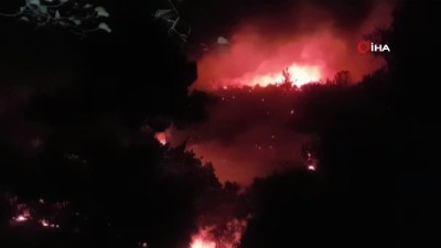  Manavgat'ta orman yangını