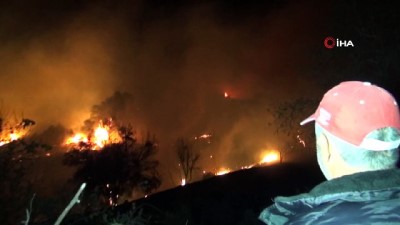  Manavgat'ta orman yangını