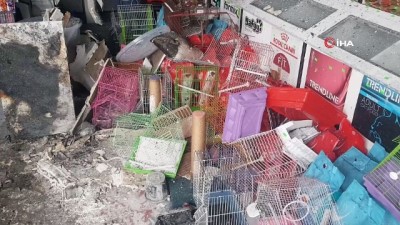 pet shop -  Çıkan yangın sonrası onlarca kuşun telef olduğu dükkanda temizlik çalışması başladı Videosu