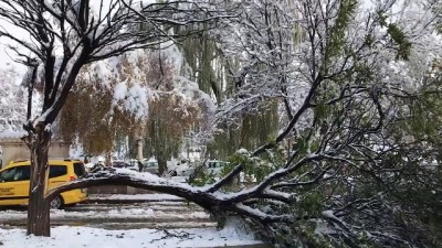 gunesli hava - Doğu Karadeniz'de kış - BAYBURT Videosu