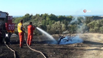 cenin -  Manavgat'ta 8,5 hektar alanın zarar gördüğü orman çıkış yangının sebebi araştırılıyor  Videosu