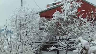 egitim sistemi -  Posof beyaz örtüsünü giydi  Videosu