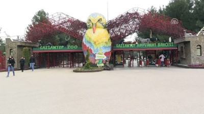 hayvanat bahcesi - Gaziantep Hayvanat Bahçesi'nde ziyaretçi rekoru  Videosu