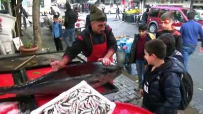  Tezgahta 1 metrelik Orkidos'u görenler fotoğraf çekinmek istiyor