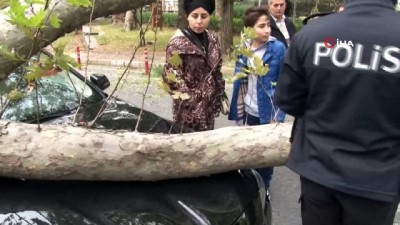 veli toplantisi -  Ağaç aracın üzerine devrildi, anne-oğul son anda kurtuldu  Videosu
