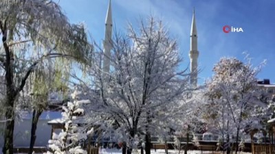 kopek -  Karlıova’dan kar manzaraları  Videosu