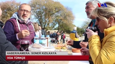 zeytin agaci - Yarım Litre Zeytinyağı 30 Bin TL’ye Satıldı Videosu