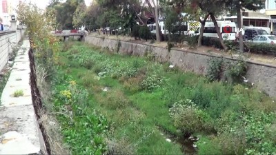 dere yatagi -  - Balıkesir’de Çay deresi temizleniyor  Videosu