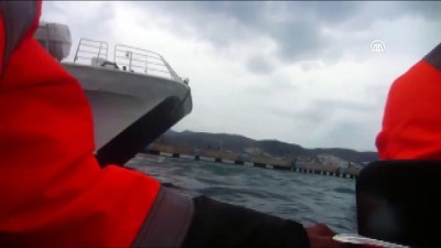 kiyi emniyeti - Motoru arızalan feribot limana çekildi - MUĞLA Videosu