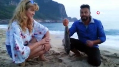 cep telefonu -  Alanya sahilinde balon balığı paniği  Videosu