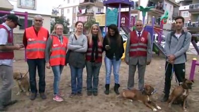 kopek -  Çocuk parkında patileri kesilerek köpeği öldüreni ihbar edene para ödülü Videosu