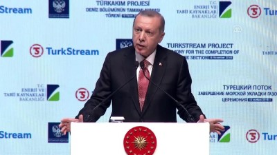 dogalgaz boru hatti - Erdoğan: 'Rusya Federasyonu ile iş birliğimiz çok geniş bir yelpazede ilerliyor' - İSTANBUL  Videosu