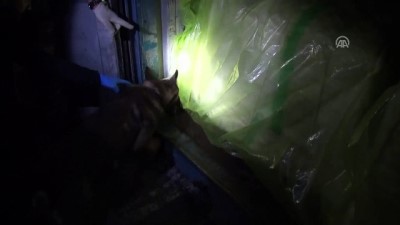 gumruk muhafaza ekipleri - 3 milyon 126 bin uyuşturucu hap ele geçirildi - MERSİN  Videosu