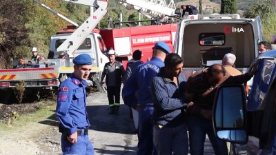 elektrik hatti -  Ağacın tepesinde kozalak toplayan işçi elektrik akımına kapılarak öldü  Videosu