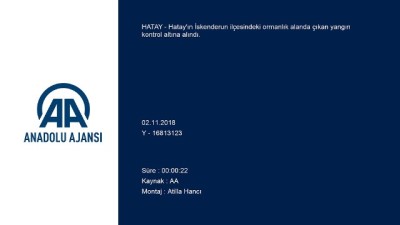 Hatay'da orman yangını