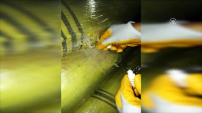 gumruk muhafaza - Sarımsak tozu taşıyan araçta uyuşturucu ele geçirildi - ANKARA  Videosu