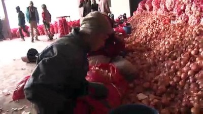fiyat artisi - Bakanlık stok soğanın peşinde Videosu