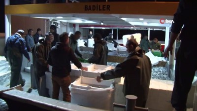 balikci teknesi -  Karadeniz’den hamsi fışkırdı  Videosu