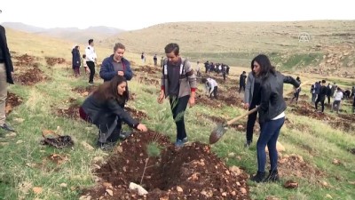 'Öğretmenler Günü' için 2 bin fidan toprakla buluştu - MARDİN