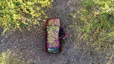 aski - Kayısı bahçelerinde sonbahar renkleriyle görsel şölen - ELAZIĞ  Videosu