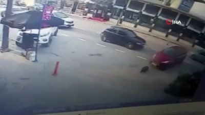 suc duyurusu -  Otomobil altında kalan köpeği sokak köpeklerinin kurtardığı anlar kamerada  Videosu