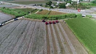 pamuk tarlasi -  Antalya’da çiftçiye 72 milyon pamuk ödemesi yapıldı  Videosu