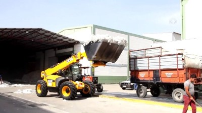 kooperatif - ANTBİRLİK 21 bin 500 ton kütlü pamuk alımı yaptı - ANTALYA  Videosu