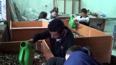 solucan gubresi - Öğrenciler okulda solucan gübresi üretiyor - TOKAT Videosu
