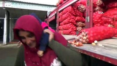 pazarci -  Soğan stokçuları ve soğandaki mantar hastalığı esnafı da olumsuz etkiledi  Videosu