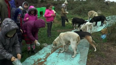 ilkokul ogretmeni - Öğrencileriyle topladığı yemek artıklarını sokak hayvanlarına ulaştırıyor - SAKARYA  Videosu