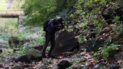 sonbahar - Kabaceviz Şelaleleri'nde sonbahar renklerinin görsel şöleni - SAMSUN  Videosu