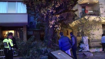 kirkoy -  Otomobil önce ağaçları biçti, sonra evin bahçesine uçtu Videosu