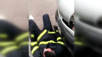 hayvan - Otomobilin motoruna sıkışan köpeği itfaiye kurtardı - ADIYAMAN Videosu