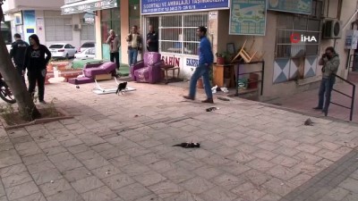 guvenlik kamerasi -  Aç kalan köpekler, yavru kedileri böyle parçaladı  Videosu