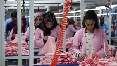 tekstil fabrikasi - Memleketine kurduğu fabrikayla kadın istihdamına katkı sağlıyor - ELAZIĞ  Videosu