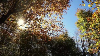 sonbahar - Amanoslarda sonbahar - OSMANİYE  Videosu