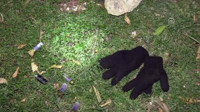 Bir eve ateş edildiği iddiası - ADANA 