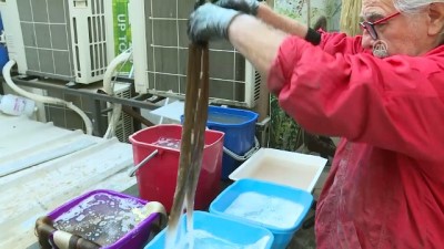 kemoterapi - Rengarenk saçlarla ihracat yapıyor - İZMİR  Videosu