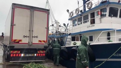  Batı Karadeniz'de istavrit bereketi