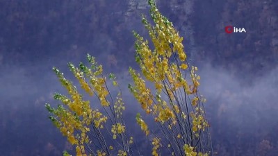 sonbahar -  Beytüşşebap’ta yağış sonrası kartpostallık görüntüler oluştu  Videosu