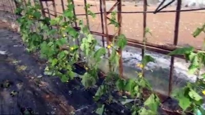  Mersin'de dolu cam seraları yerle bir etti 