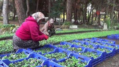  Park Bahçeler Müdürlüğü üretim merkezi oldu 