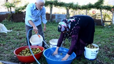 sili -  Emekli öğretmen köyündeki meyveleri ekonomiye kazandırdı Videosu