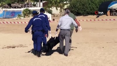 guvenlik muduru -  Güvenlik amiri: 'İmdat diye ses duydum'... Antalya’da denizde erkek ve kadın cesedi bulundu Videosu