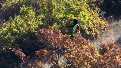 kadin isci - Ormanlar kadın eliyle yeşeriyor- VAN  Videosu