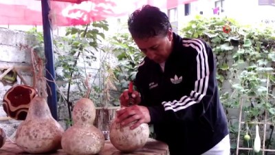 ekince -  Bahçesinde yetiştirdiği su kabaklarını süs eşyasına dönüştürüyor  Videosu