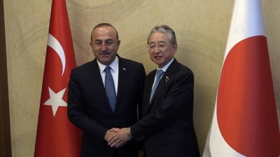 Dışişleri Bakanı Çavuşoğlu, Japon CEO ve işadamlarıyla buluştu - TOKYO 