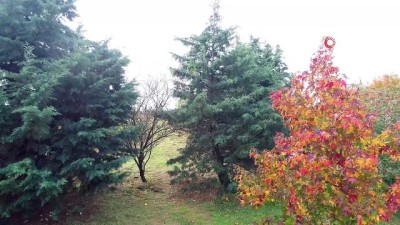 sonbahar -  İstanbul'da mest eden sonbahar manzarası havadan görüntülendi  Videosu