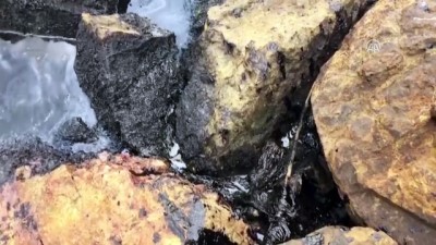 fuel oil - İzmit Körfezi'nde deniz kirliliği - KOCAELİ Videosu